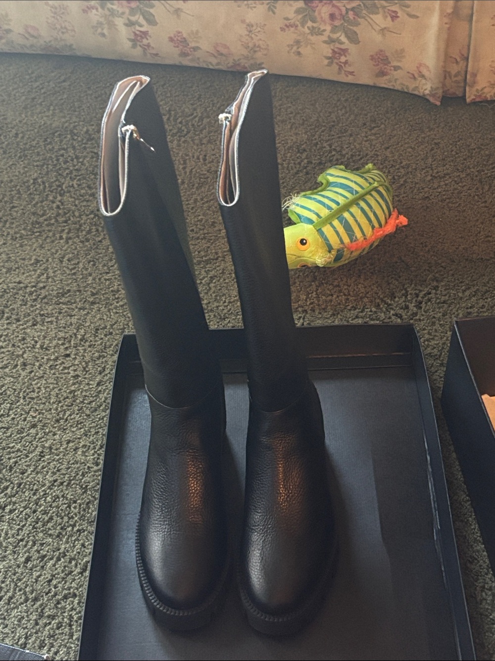 New Coach Knee high boots